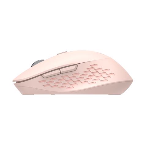 Icecat Gallery 3
