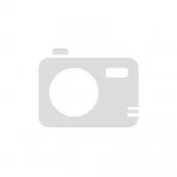 Snom A310M MONO (QD E RJ9) 4262377560112