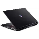 acernitro1.webp