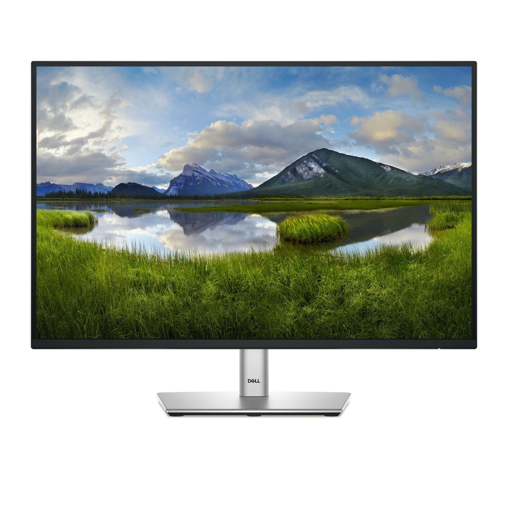 DELL 24 USB-C HUB MONITOR P2425E