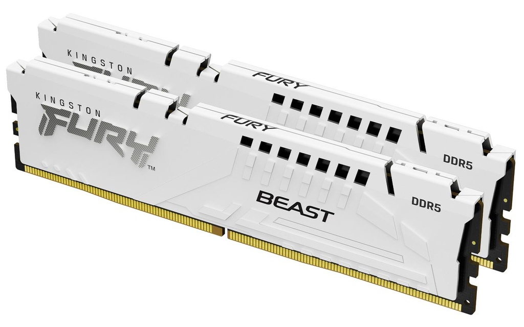 32G 6000 DDR5 K2 F BEAST WHITE EXPO