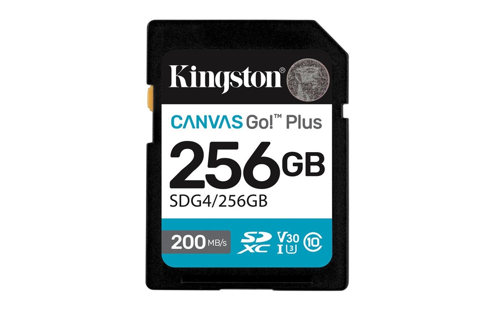 256GB SDXC CANVAS GO PLUS GEN4
