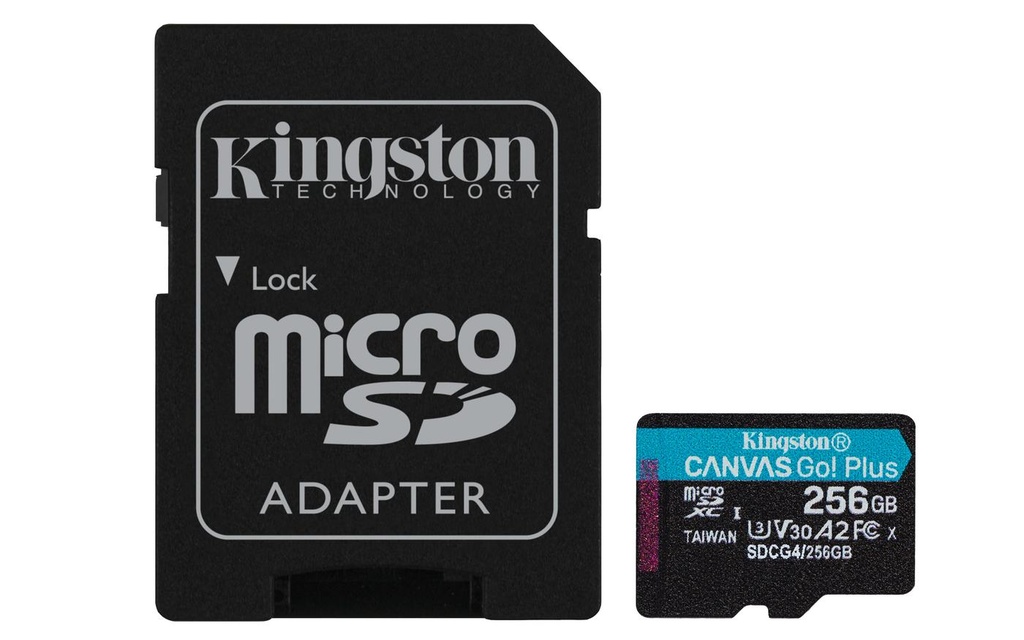 256GB MICROSDXC CANVAS GO PLUS 4 +A