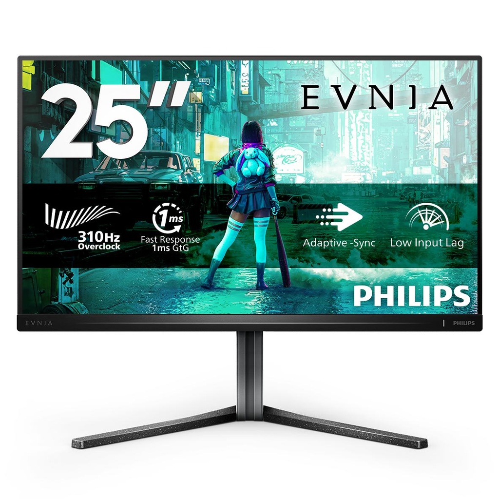 MONITOR 24 5  300HZ REG ALT GAMING