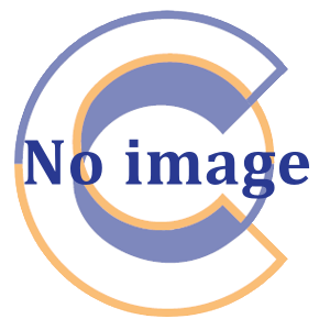 PBK 4 G1I 16 U5 16/512 W11P 3YW