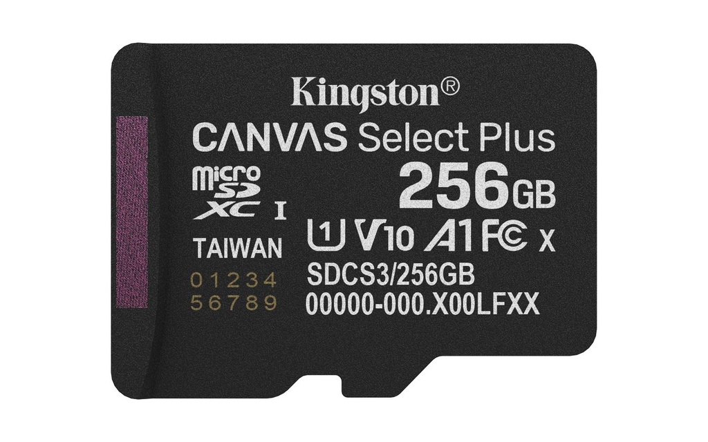 256GB MICSDXC SELECT PLUS 3 W/O A