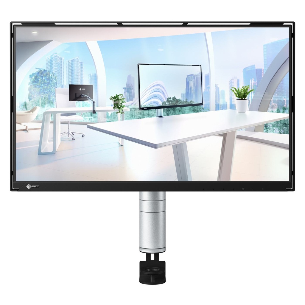 FLT FLEXSCAN 24 IPS LCD ECO