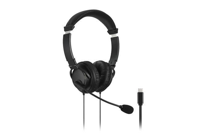 CUFFIE HIFI USB-C CON MICROFONO