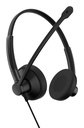IMPACT 100 MS STEREO USB-C+A
