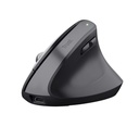 BAYO+ ERGONOMIC WIRELESS MOUSE