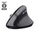 BAYO II ERGONOMIC WIRELESS MOUSE