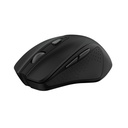 NITO SILENT WIRELESS MOUSE - BLK