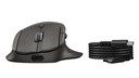 HP MOUSE WRLS 785M ULTRA FAST SCROL