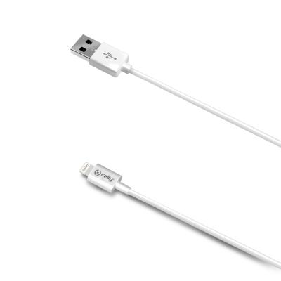 12W USB-A TO LIGHTNING CABLE 2M WH
