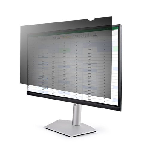 [23669PRIVSCRNST] FILTRO PRIVACY MONITOR 23.6