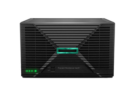 [P75207-425] SMART CHOICE HPE MICROSVR G11 E-243