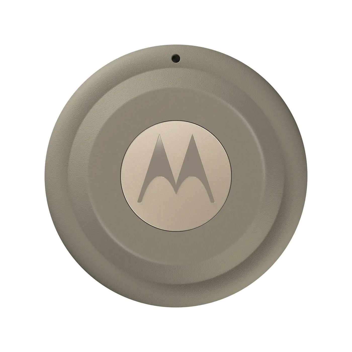 [PG38C08026] MOTO TAG 2 LAUREL OAK