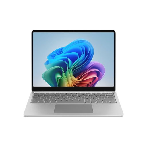 [EP2-31343] LPT 13 C8/24GB/1TB PLAT