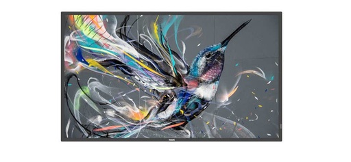 [50BDL3511Q00] MONITOR 50 Q-LINE 18/7 4K