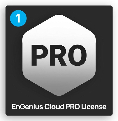 [ESG-1YR-LIC] 1 YEAR PRO GATEWAY LICENSE