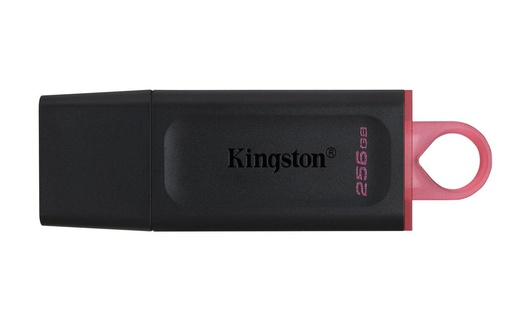 [DTX/256GB] 256GB USB3.2 DATATRAVELER EXODIA